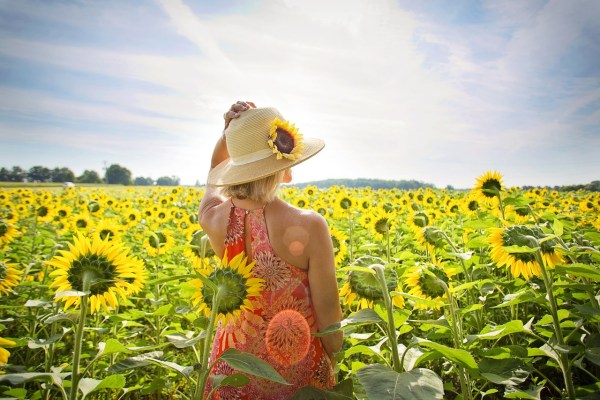 woman in field of daisies