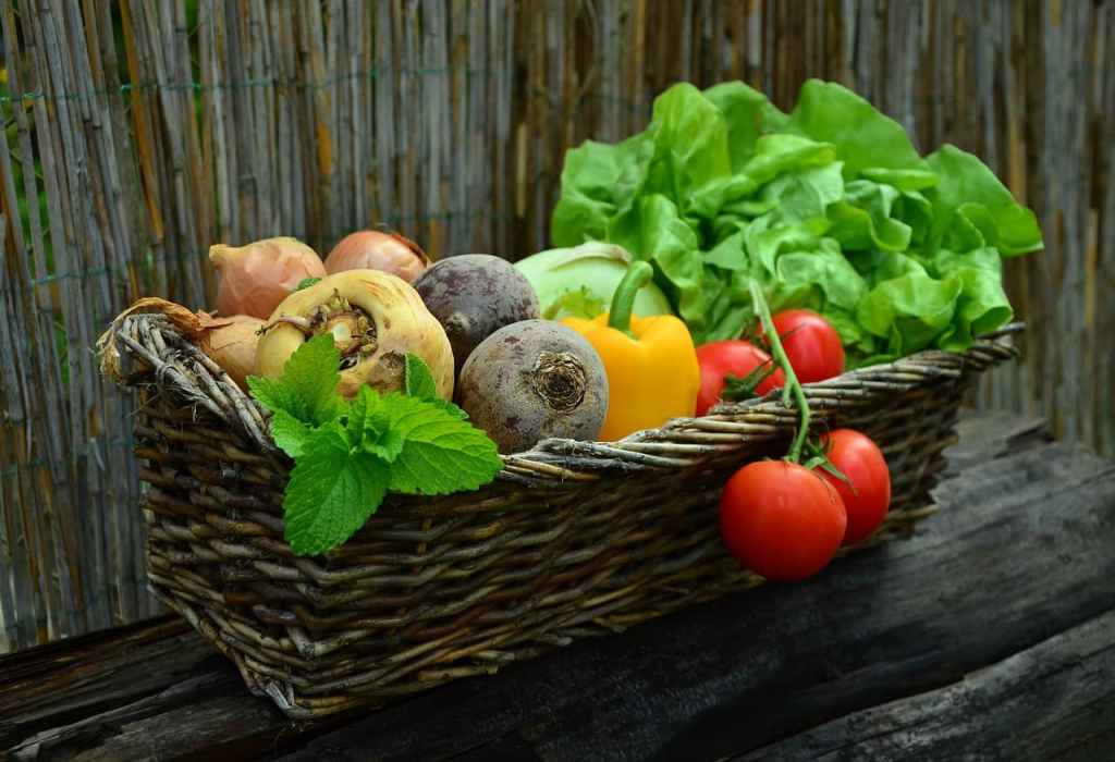 basket of vegetables for healthy keto diet