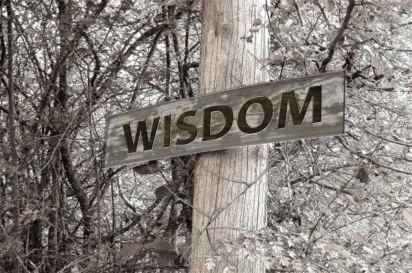 signpost that says wisdom